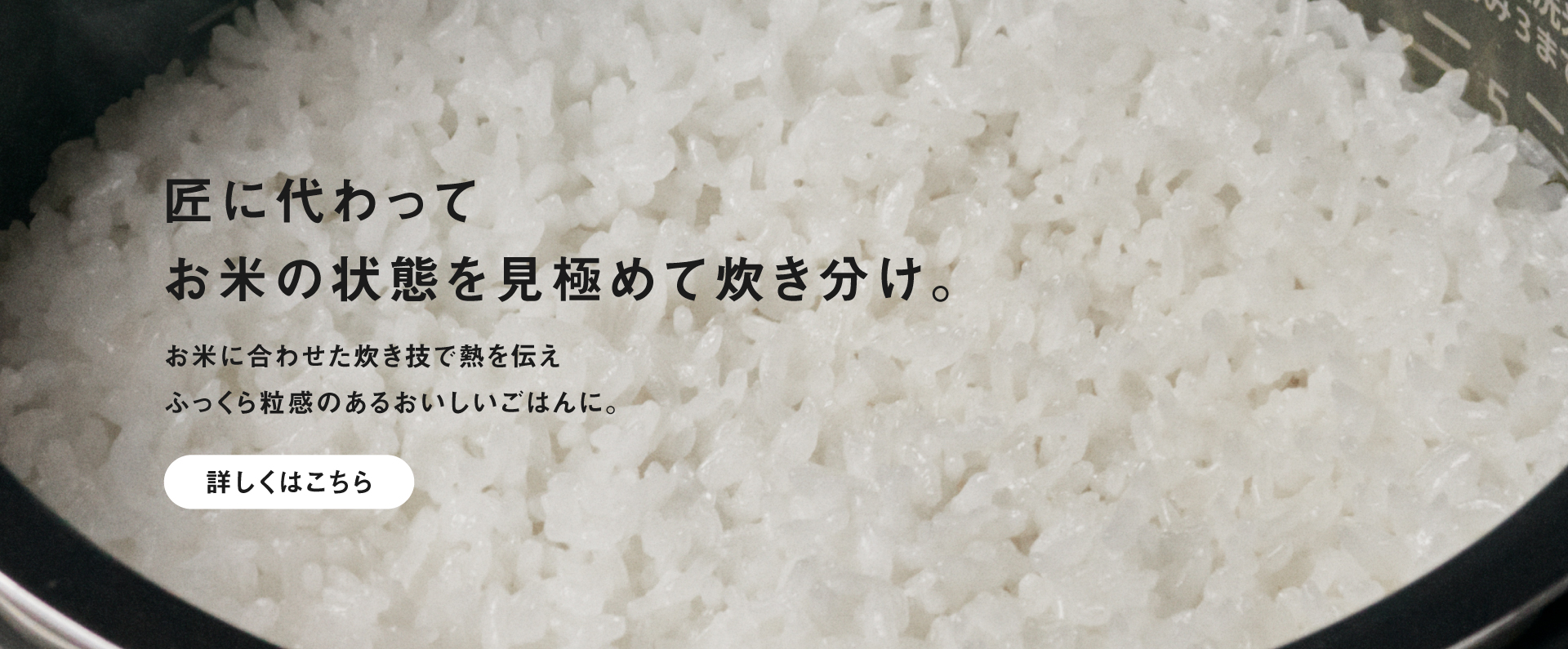 Vシリーズで炊いたごはんの画像です。クリックすると特長「ビストロ匠技AI」の詳細ページにリンクします。匠に代わってお米の状態を見極めて炊き分け。
